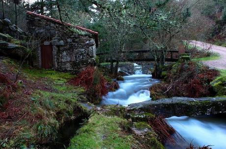 DESDE GALICIA.