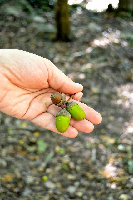 INSTANTES MÁGICOS... BY PALMICHULA INSTANTES MÁGICOS... BY PALMICHULA