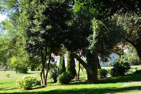 INSTANTES MÁGICOS... BY PALMICHULA INSTANTES MÁGICOS... BY PALMICHULA