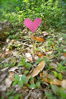 INSTANTES MÁGICOS... BY PALMICHULA INSTANTES MÁGICOS... BY PALMICHULA