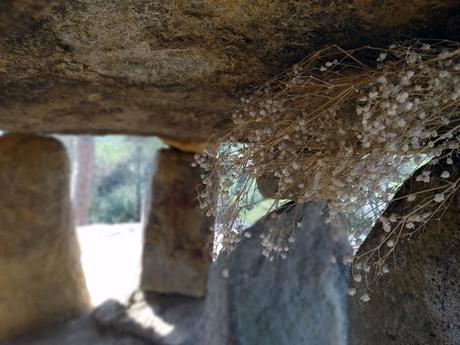 Megalitismo: Dolmen de Pedra Gentil