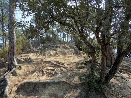 Megalitismo: Dolmen de Pedra Gentil