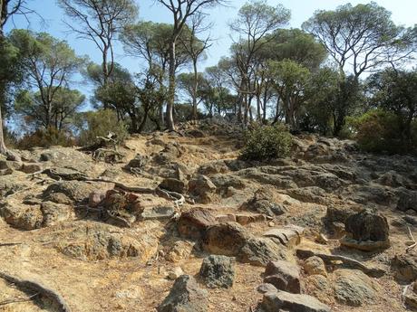 Megalitismo: Dolmen de Pedra Gentil