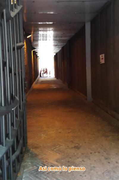 De reencuentros, viajes y demás platgeta