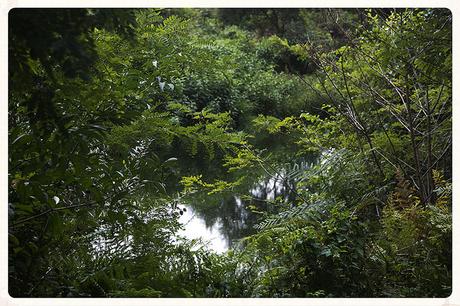 Parque de la Viesca, Torrelavega