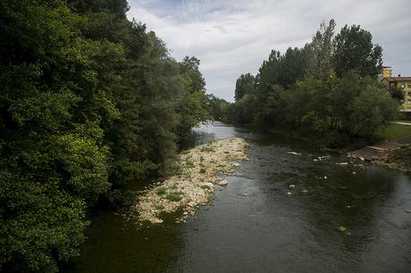 Parque de la Viesca, Torrelavega