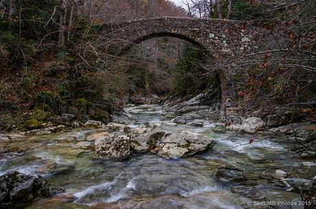 Pont de Salgueda