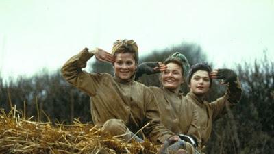 Amores en tiempos de guerra Amores en tiempos de guerra