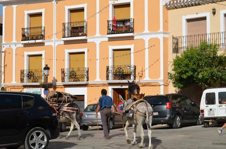 ALBACETE (Liétor, Ayna, Chinchilla, Alcalá del Jucar). ALBACETE (Liétor, Ayna, Chinchilla, Alcalá del Jucar).