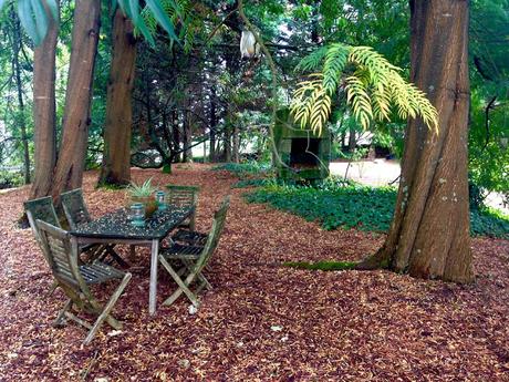 El jardín de La Saleta en Verano, del 1 al 31 de agosto de 2015. Saleta's Garden in summer, August 1-31, 2015.