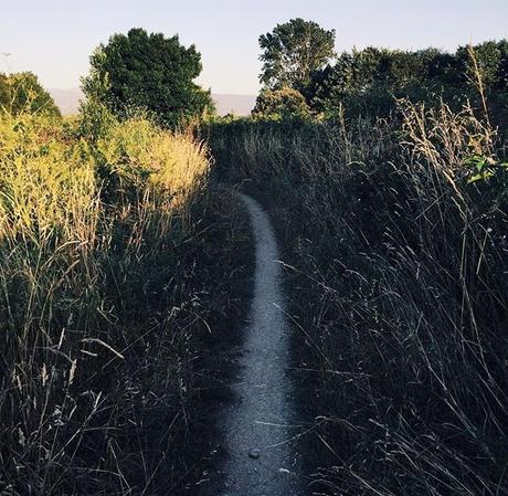 Tómalo sólo como consejo: Aporta o aparta Tómalo sólo como consejo: Aporta o aparta