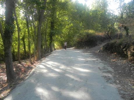 Vuelta a la rutina (casi) en otoño: Qué veremos en LAPINTURERA