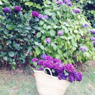 PROPOSITOS DE #LASEMANA26 PROPOSITOS DE #LASEMANA26