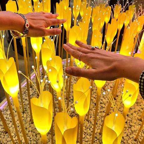 Expo Milano 2015, una cita con el mundo foodie que no te puedes perder Azerbaijan expo milano 2015