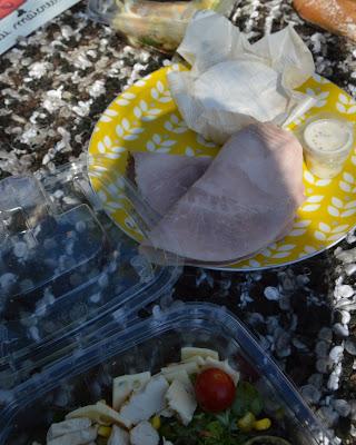 UN PICNIC IMPROVISADO... UN PICNIC IMPROVISADO...