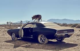 Johny Depp, Joshua Tree y la nueva fragancia masculina #DiorSauvage dior332 Johny Depp, Joshua Tree y la nueva fragancia masculina #DiorSauvage