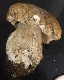 TAGLIATELLE CON SALSA DE CEPS Y NUECES TAGLIATELLE CON SALSA DE CEPS Y NUECES