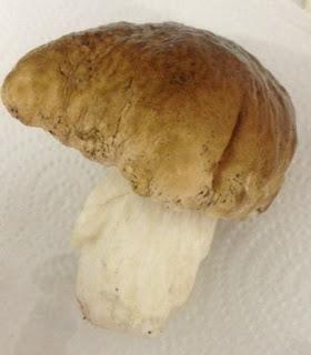 TAGLIATELLE CON SALSA DE CEPS Y NUECES TAGLIATELLE CON SALSA DE CEPS Y NUECES