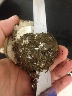 TAGLIATELLE CON SALSA DE CEPS Y NUECES TAGLIATELLE CON SALSA DE CEPS Y NUECES