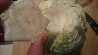 ROLLITOS DE COL RELLENOS DE CARNE ESTILO JAPONÉS (El viaje de Chihiro) ROLLITOS DE COL RELLENOS DE CARNE ESTILO JAPONÉS (El viaje de Chihiro)