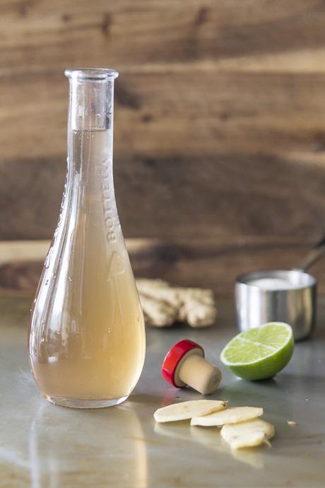 ¿Andas malhumorado? Prepara tu propio Ginger Ale ¿Andas malhumorado? Prepara tu propio Ginger Ale