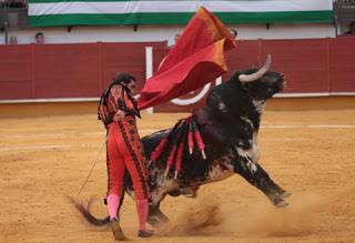 DOBLE SALIDA A HOMBROS GRACIAS A LAS ESPADAS