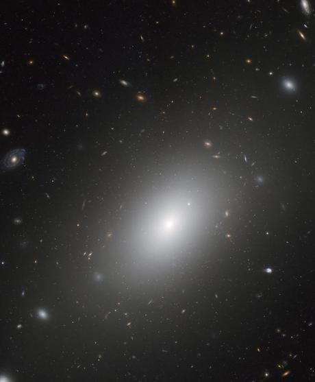 NGC 1132 entre una mar de glaxias