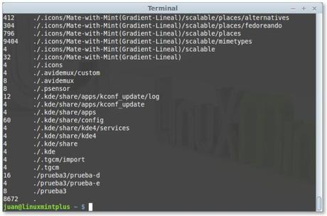 Determinar el tamaño de un directorio con el comando du bitacoralinux-comando-du-08