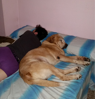 Sesenta noches Sesenta noches