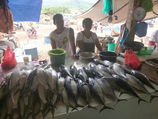 BUCEO EN PECIOS JAPONESES DE LA SEGUNDA GUERRA MUNDIAL EN CORON BUCEO EN PECIOS JAPONESES DE LA SEGUNDA GUERRA MUNDIAL EN CORON