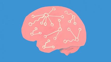 Curso Online de Neurociencias Gratuito por la Universidad de Harvard