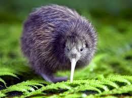 El que no vuela, corre III El que no vuela, corre III