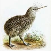 El que no vuela, corre III El que no vuela, corre III