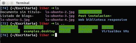 Comando ls, descripcion y ejemplos de uso en Ubuntu Linux