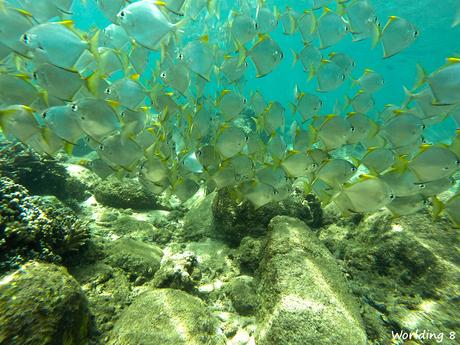 Uppuveli, Nilaveli y Trincomalee Uppuveli, Nilaveli y Trincomalee