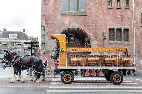 AMSTERDAM II 11