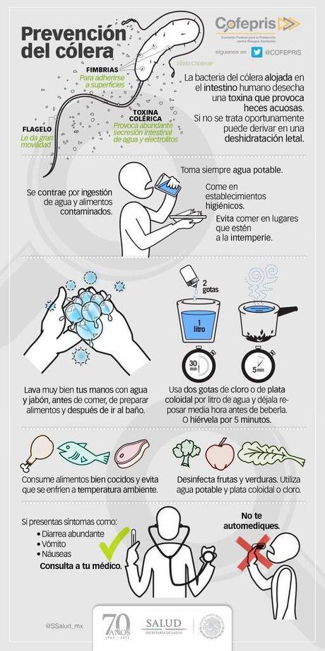 Prevención del cólera#enfermedad#infección#infografía