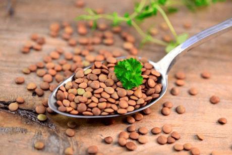 Alimentar con hierro a las bacterias y los virus es una manera de combatir la infección Alimentar con hierro a las bacterias y los virus es una manera de combatir la infección