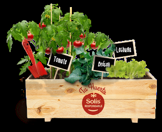 CONOCEIS EL NUEVO PROYECTO #SOLISRESPONSABLE CONOCEIS EL NUEVO PROYECTO #SOLISRESPONSABLE