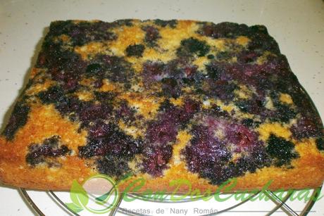 Bizcochitos de arándanos OLYMPUS DIGITAL CAMERA