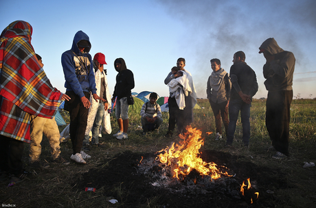 Crisis migratoria: campamento de Röszke y algunas reflexiones