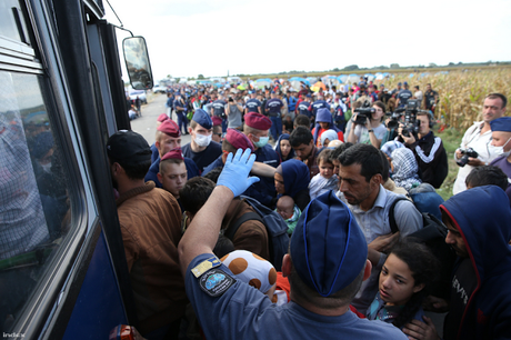 Crisis migratoria: campamento de Röszke y algunas reflexiones