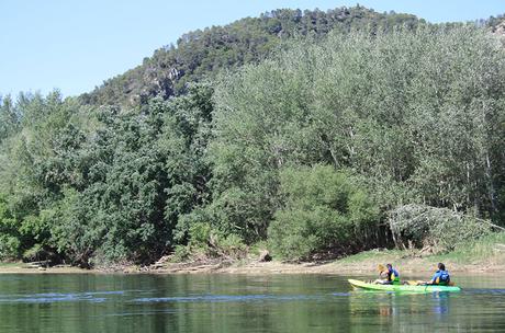 Ruta familiar en Kajak por el rio Ebro Ruta familiar en Kajak por el ebro en Tortosa