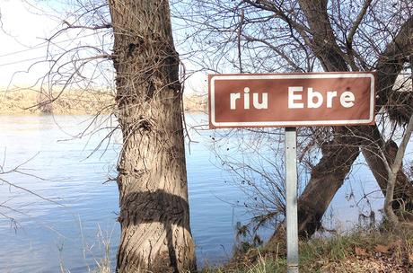 Ruta familiar en Kajak por el rio Ebro Ruta familiar en Kajak por el ebro en Tortosa