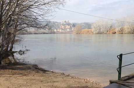 Ruta familiar en Kajak por el rio Ebro Ruta familiar en Kajak por el ebro en Tortosa
