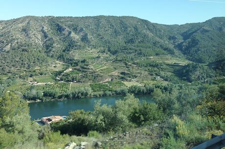 Ruta familiar en Kajak por el rio Ebro Ruta familiar en Kajak por el ebro en Tortosa