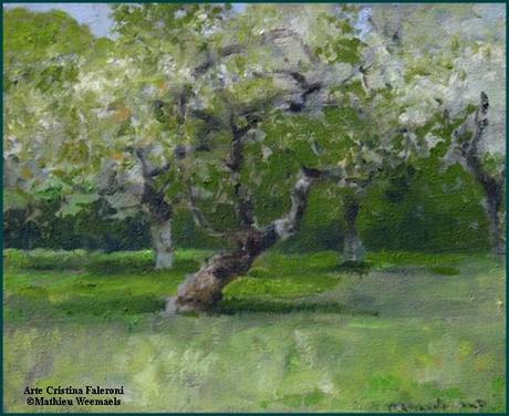 Mathieu Weemaels Mathieu Weemaels