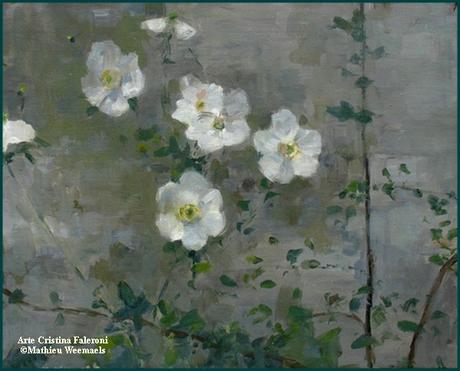 Mathieu Weemaels Mathieu Weemaels