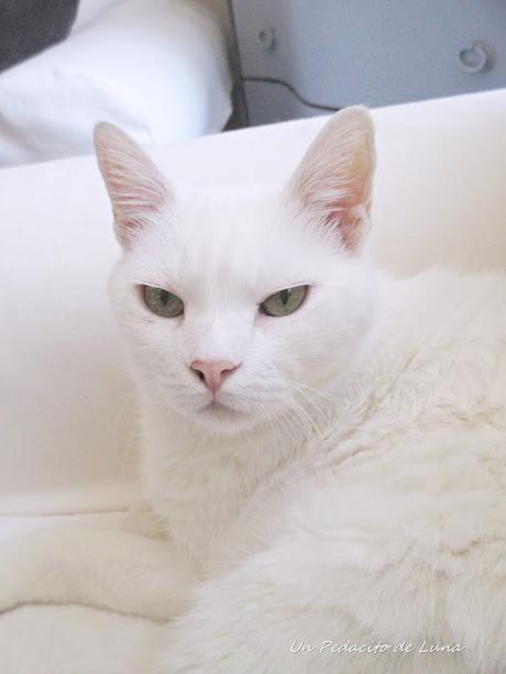 Suavizando el regreso Suavizando el regreso