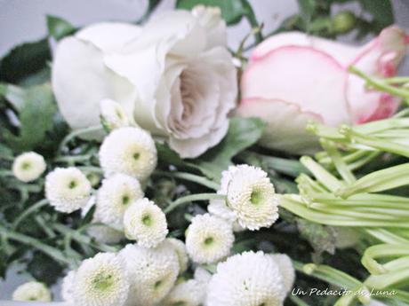 Suavizando el regreso Suavizando el regreso